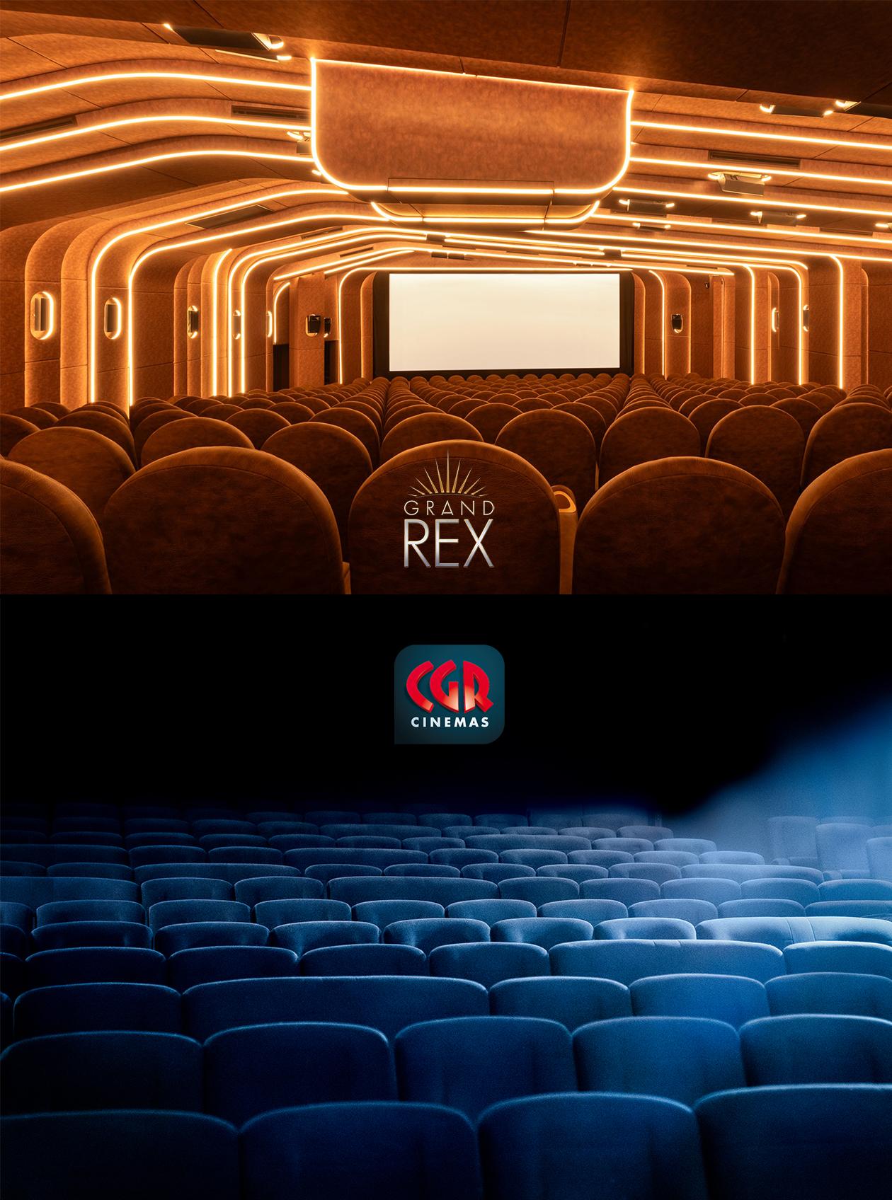 Projections des films du Nikon Film Festival en France